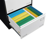 SINOFURN Black+White 2-Drawer 23.6-in File Cabinet