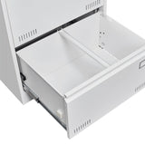 SINOFURN Black+White 2-Drawer 23.6-in File Cabinet