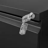 SINOFURN Black 2-Drawer 15.4-in File Cabinet