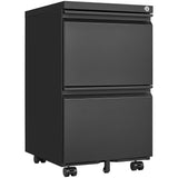 SINOFURN Black 2-Drawer 15.4-in File Cabinet