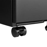 SINOFURN Black 2-Drawer 15.4-in File Cabinet