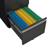 SINOFURN Black 2-Drawer 15.4-in File Cabinet