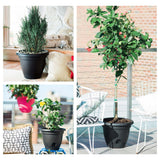 Bloem Freesia Planter w/ Saucer 12" Classic Blue