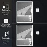 WELLFOR V2 20-in x 30-in Lighted LED Fog Free Surface/Recessed Mount Silver Mirrored Soft Close Medicine Cabinet with Outlet