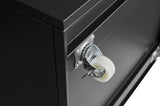 Flynama Black 23.62-in File Cabinet