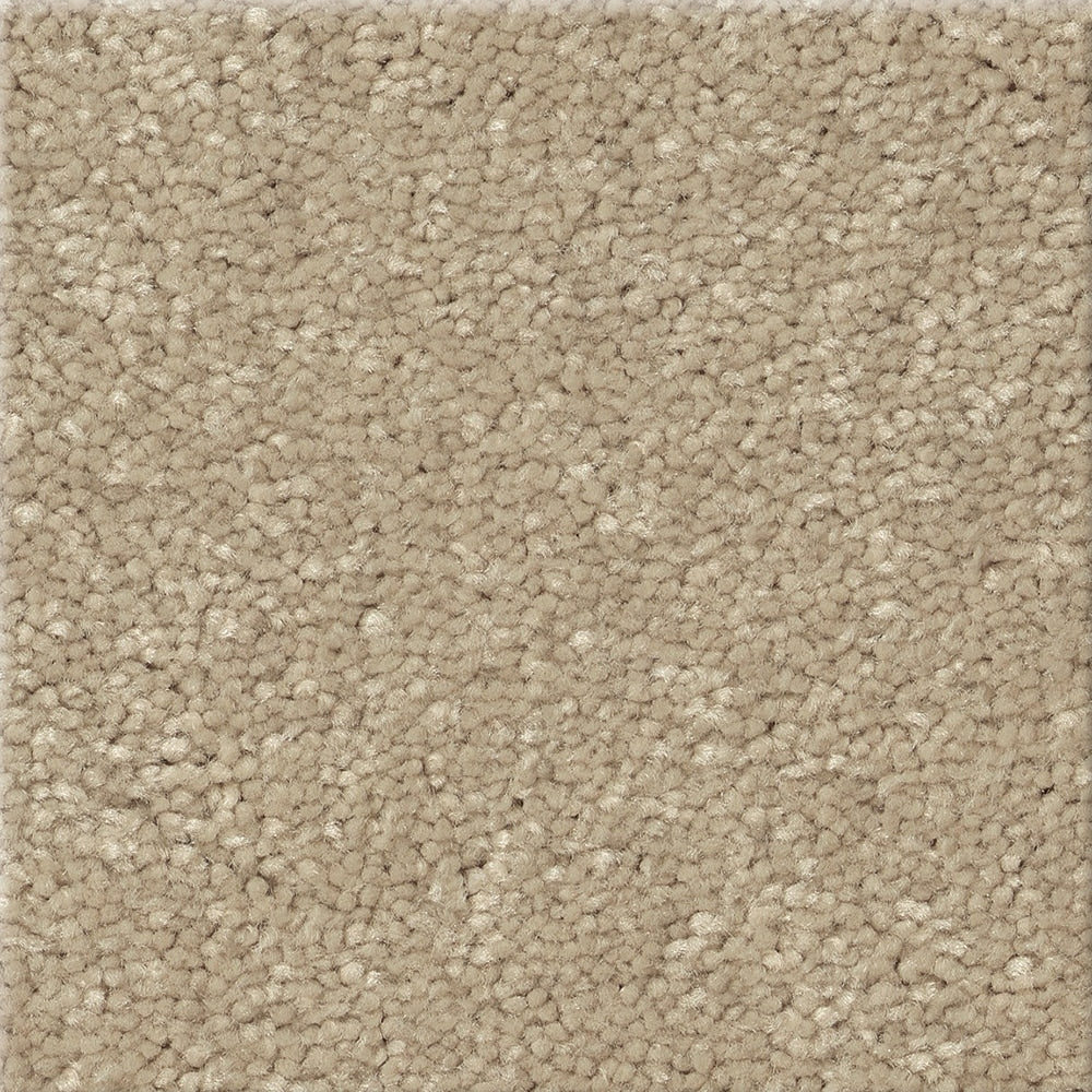 STAINMASTER Essentials Blue Diamonds III 12-ft Raw Lumber Textured Indoor Carpet, 73.1-oz Polyester