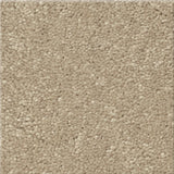 STAINMASTER Essentials Blue Diamonds I Raw Lumber 8-in x 8-in Polyester Textured Indoor Carpet Sample