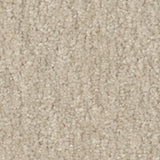 STAINMASTER Essentials Blue Diamonds II 12-ft Bleached Textured Carpet Sample (Interior)