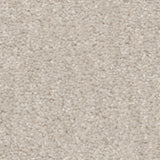 STAINMASTER Essentials Blue Diamonds II 12-ft Minimalist Textured Indoor Carpet