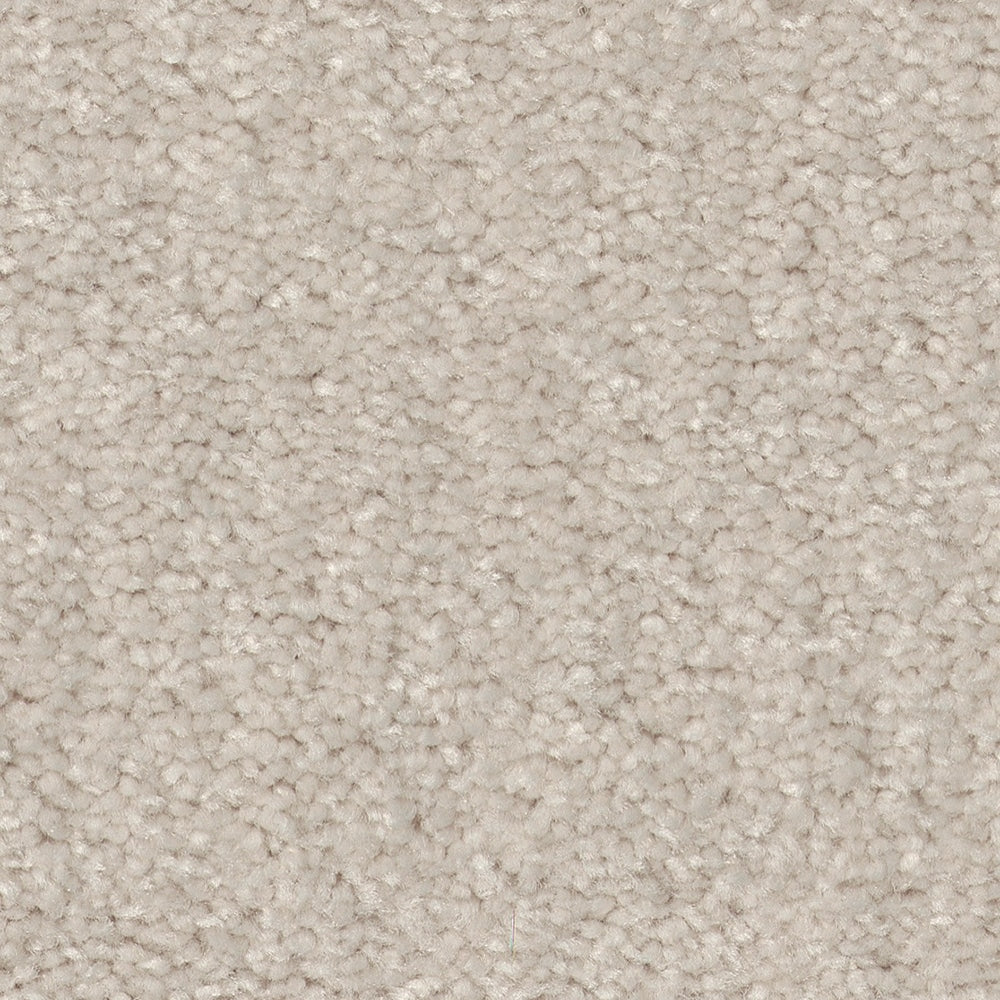 STAINMASTER Essentials Blue Diamonds III 12-ft Minimalist Textured Carpet (Indoor)