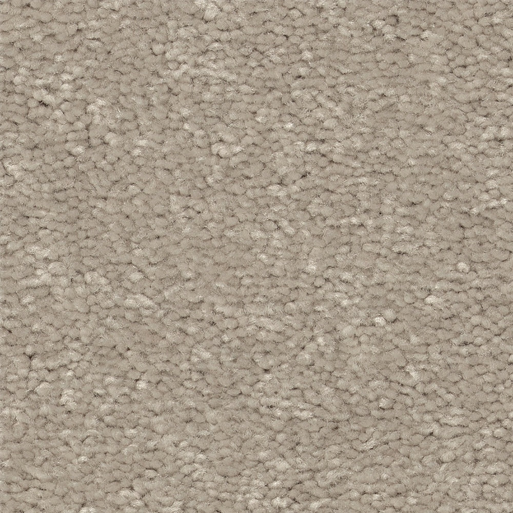 STAINMASTER Essentials Blue Diamonds III 15-ft Greige Textured Carpet (Indoor)