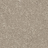 STAINMASTER Essentials Blue Diamonds II 12-ft Greige Textured Indoor Carpet