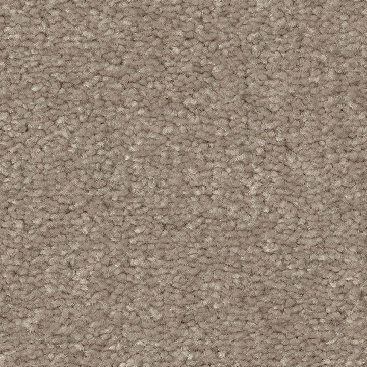 STAINMASTER Essentials Blue Diamonds III 12-ft Minimalist Textured Carpet Sample (Interior)