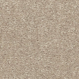 STAINMASTER Essentials Blue Diamonds II Dreamy 8-in x 8-in Textured Carpet Sample (Interior)