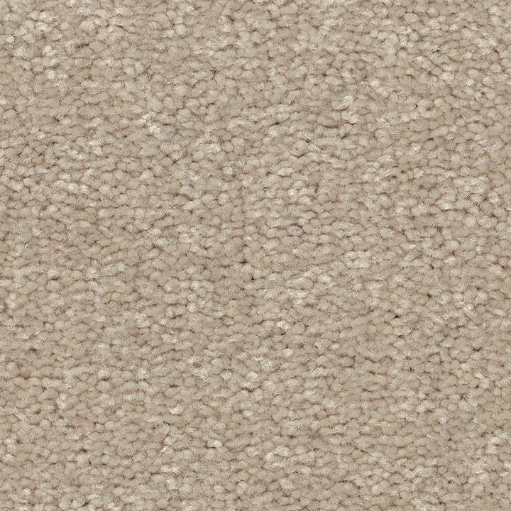 STAINMASTER Essentials Blue Diamonds II Dreamy 8-in x 8-in Textured Carpet Sample (Interior)