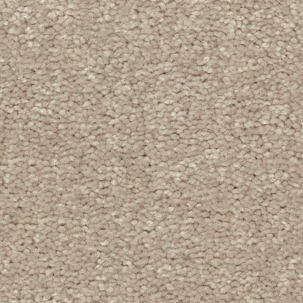 STAINMASTER Essentials Blue Diamonds I 12-ft Dreamy Textured Carpet (Indoor)