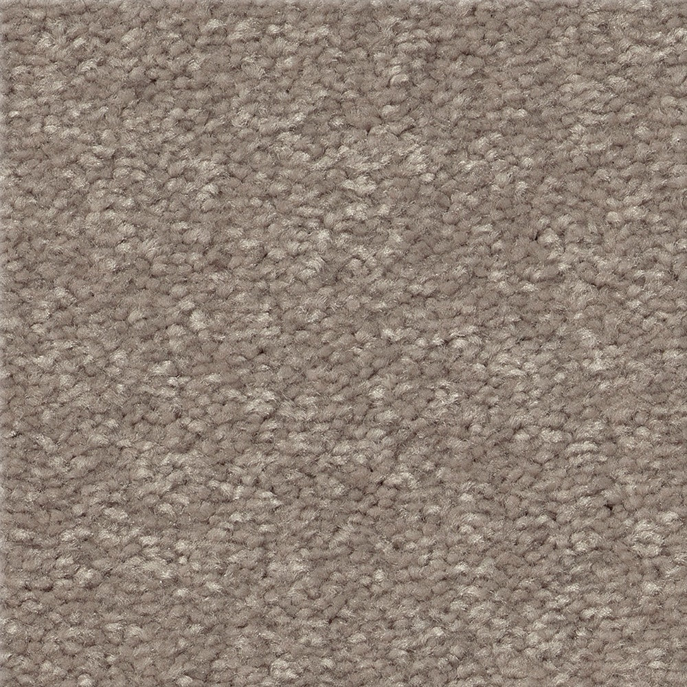 STAINMASTER Essentials Blue Diamonds I Tree Bark 12-ft Textured Indoor Carpet, 48.8-oz Face Weight
