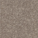 STAINMASTER Essentials Blue Diamonds I Tree Bark 12-ft Textured Indoor Carpet, 48.8-oz Face Weight