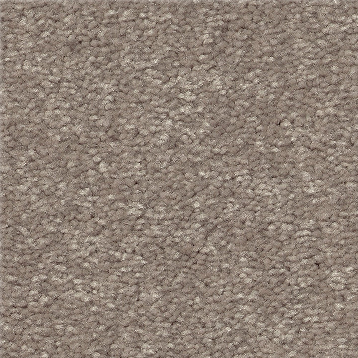 STAINMASTER Essentials Blue Diamonds I Tree Bark 12-ft Textured Indoor Carpet, 48.8-oz Face Weight