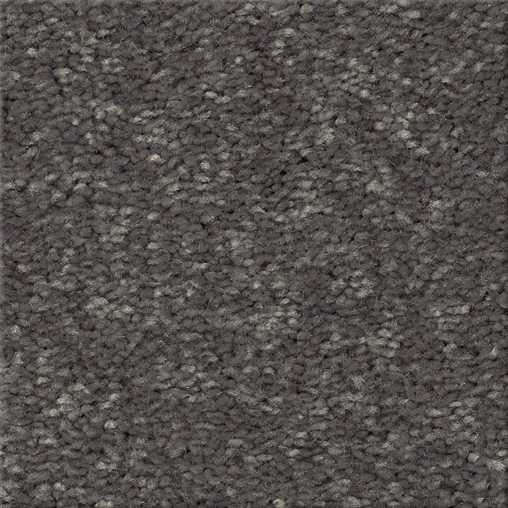 STAINMASTER Essentials Blue Diamonds II 12-ft Iron Textured Indoor Carpet