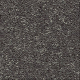 STAINMASTER Essentials Blue Diamonds II 12-ft Iron Textured Indoor Carpet