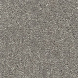 STAINMASTER Essentials Blue Diamonds I 15-ft Taupe Stone Textured Indoor Carpet