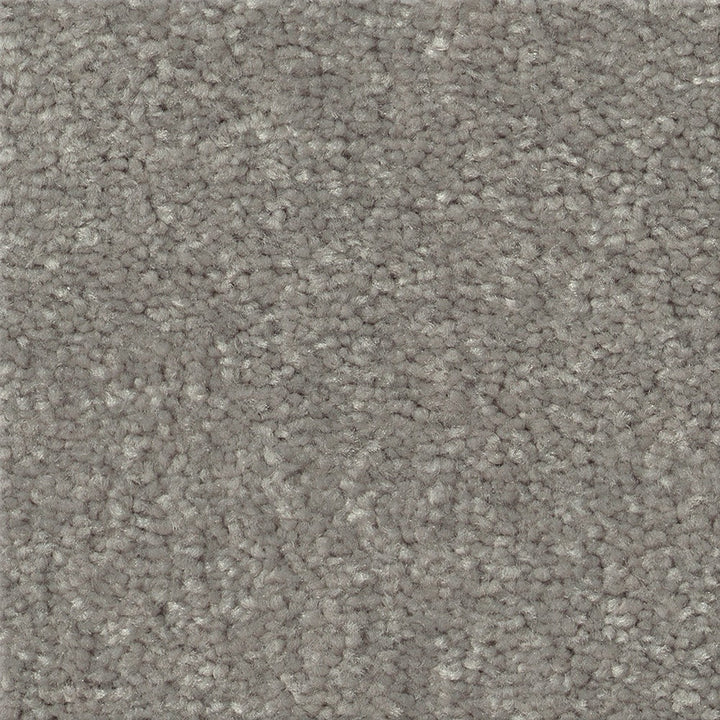 STAINMASTER Essentials Blue Diamonds I 15-ft Taupe Stone Textured Indoor Carpet