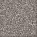 STAINMASTER Essentials Blue Diamonds I Dusty Trail Textured Carpet Sample, 8-in x 8-in (Interior)