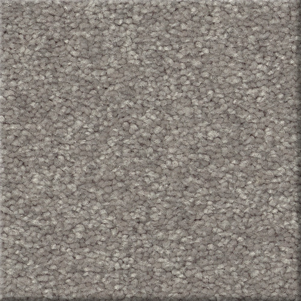 STAINMASTER Essentials Blue Diamonds I 12-ft Dusty Trail Textured Indoor Carpet