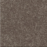 STAINMASTER Essentials Blue Diamonds I 12-ft Pewter Textured Carpet Sample (Interior)