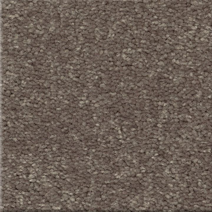STAINMASTER Essentials Blue Diamonds I 12-ft Pewter Textured Carpet Sample (Interior)