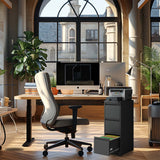 Kahomvis Black Office Cabinet