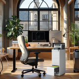 Kahomvis White Office Cabinet