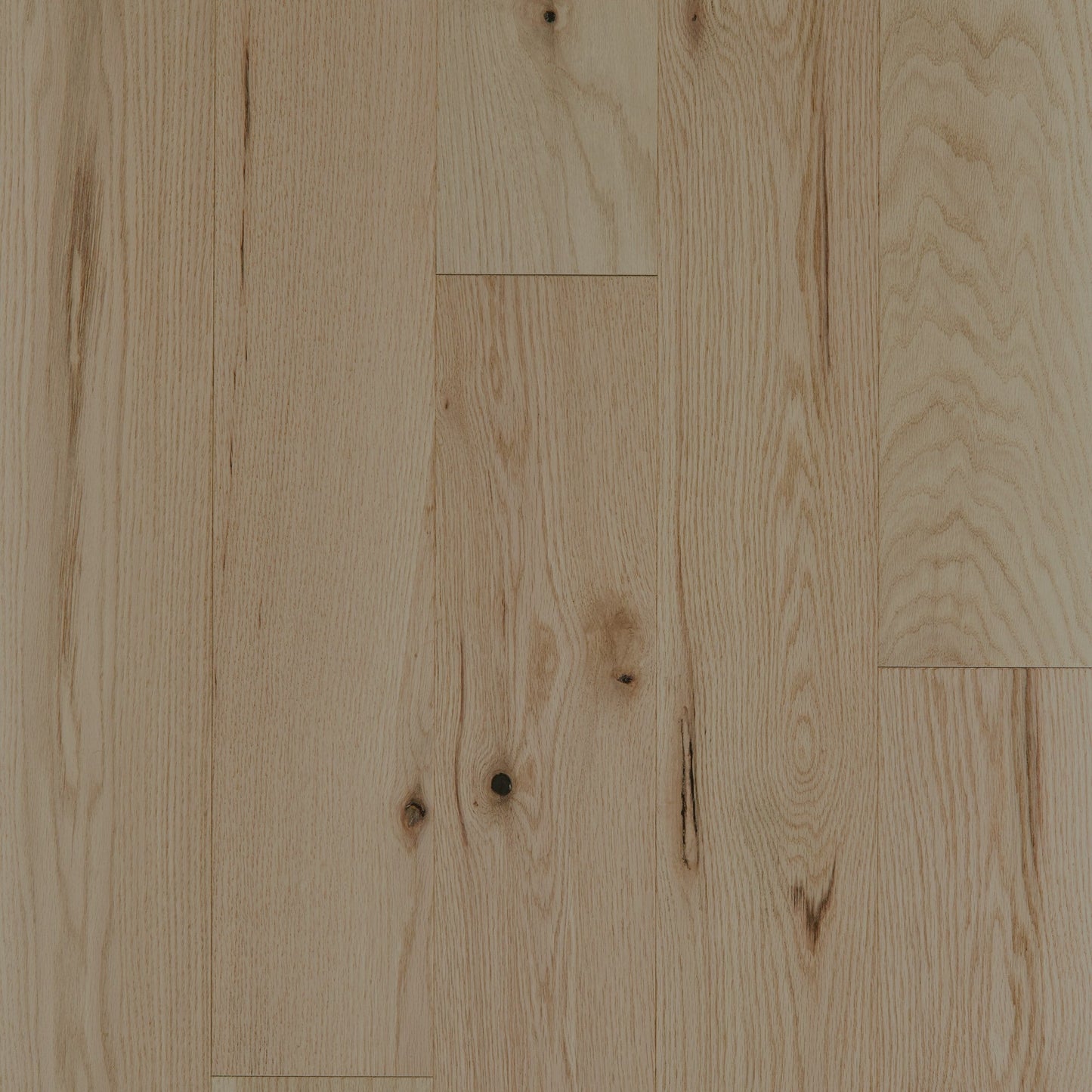 Shaw Oak Kendra hardwood flooring — primary plank view