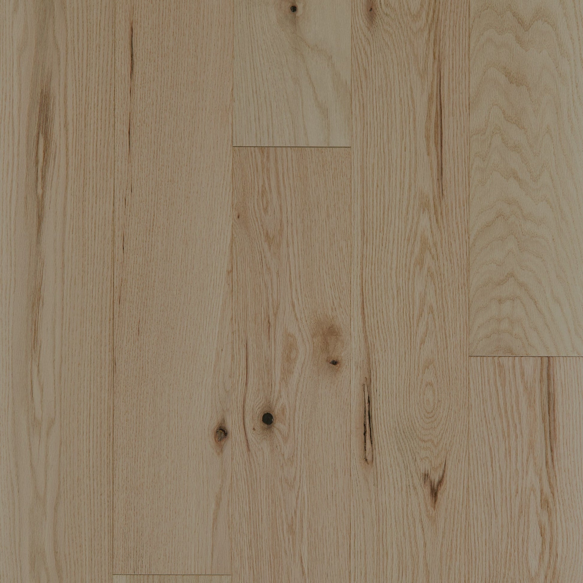 Shaw Oak Kendra hardwood flooring — primary plank view