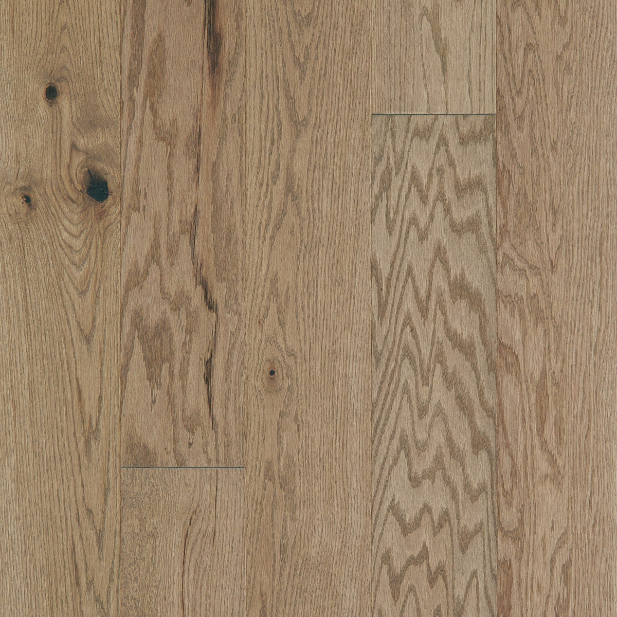 Shaw Oak Kelby hardwood flooring — primary plank view