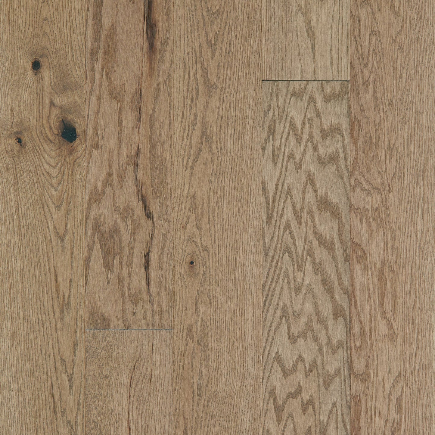 Shaw Oak Kelby hardwood flooring — primary plank view