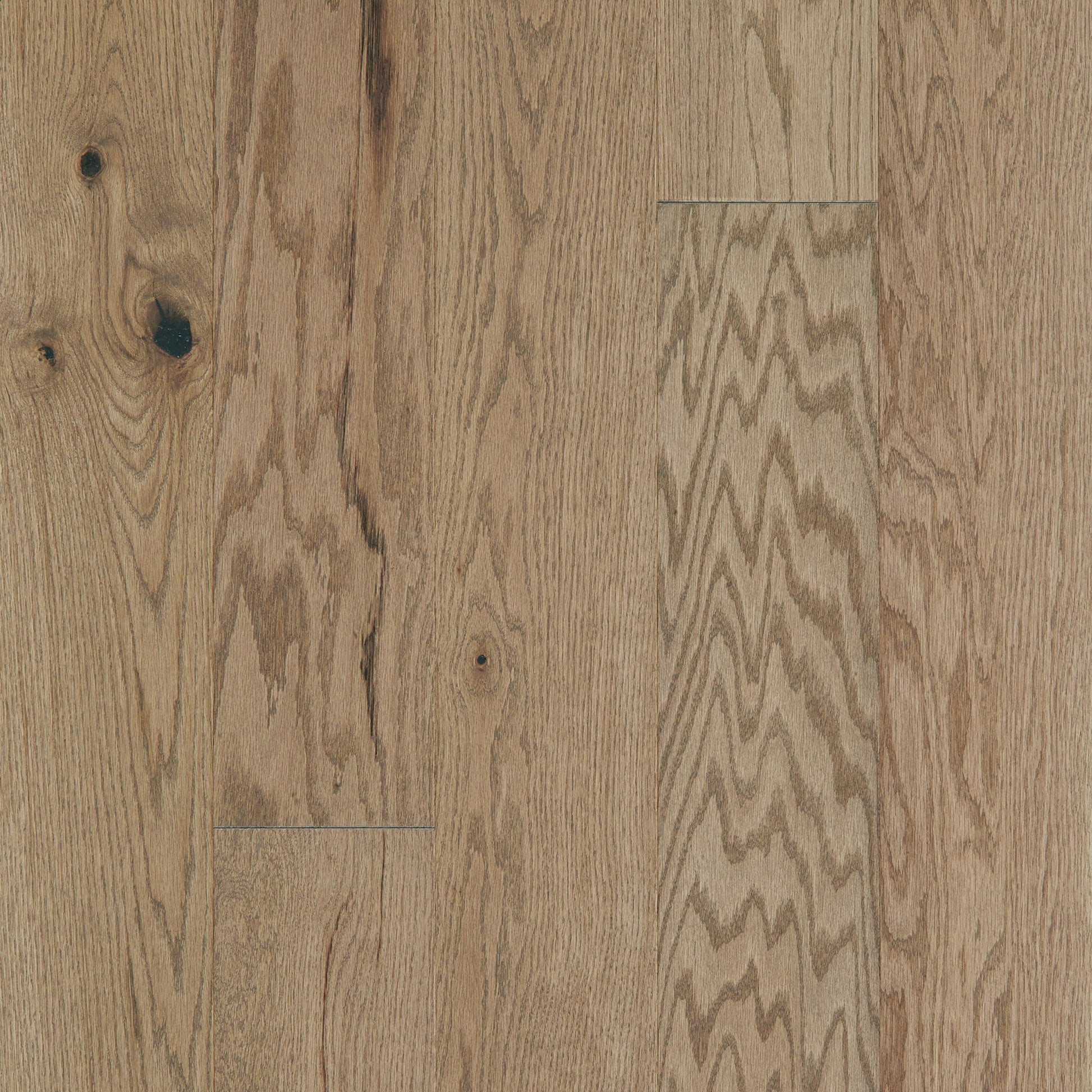 Shaw Oak Kelby hardwood flooring — primary plank view