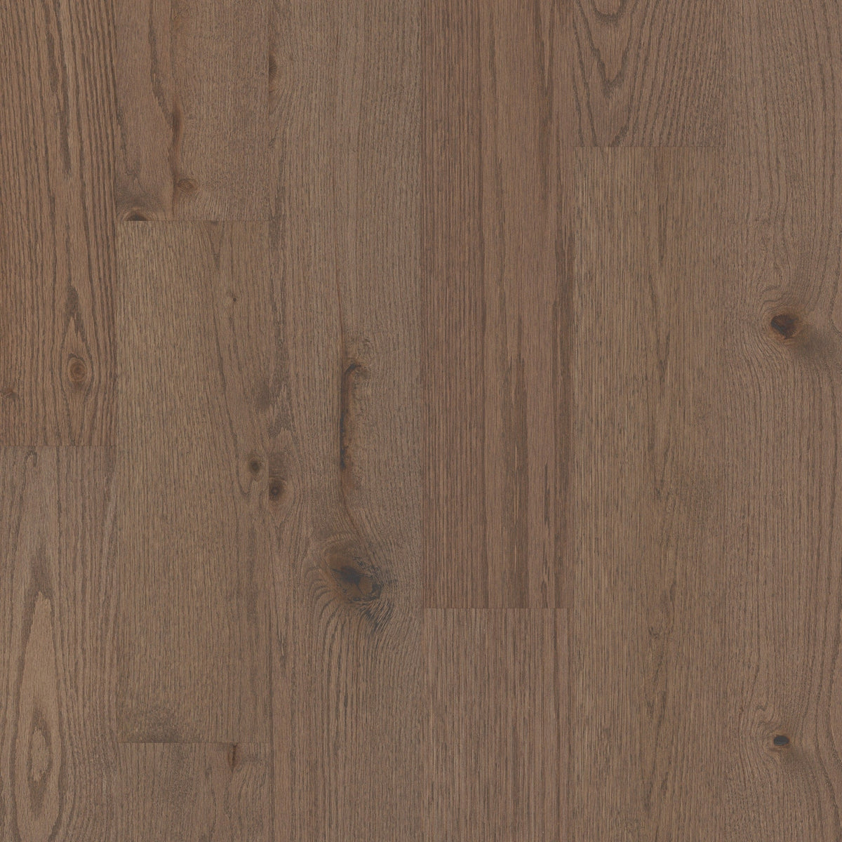 Shaw Oak Kiefer hardwood flooring — primary plank view