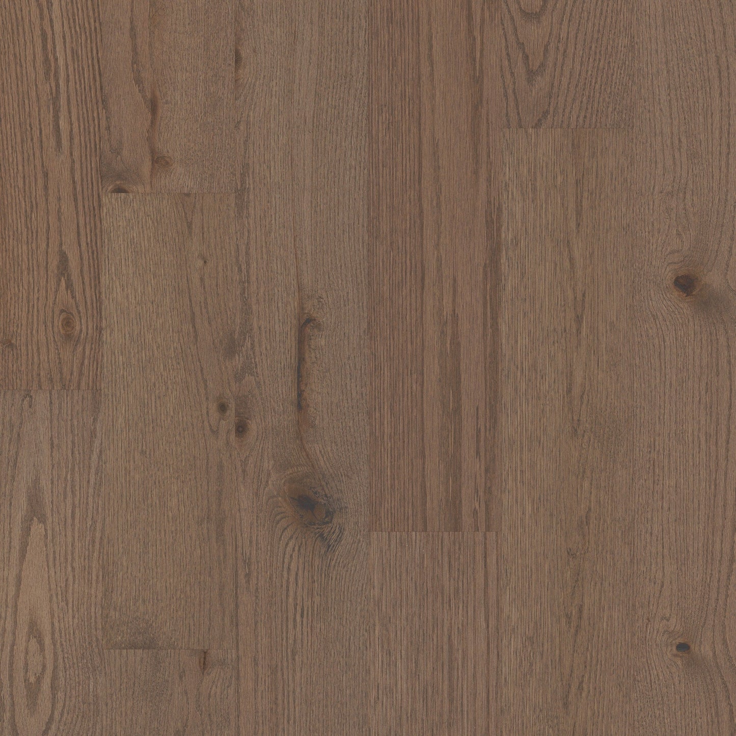 Shaw Oak Kiefer hardwood flooring — primary plank view