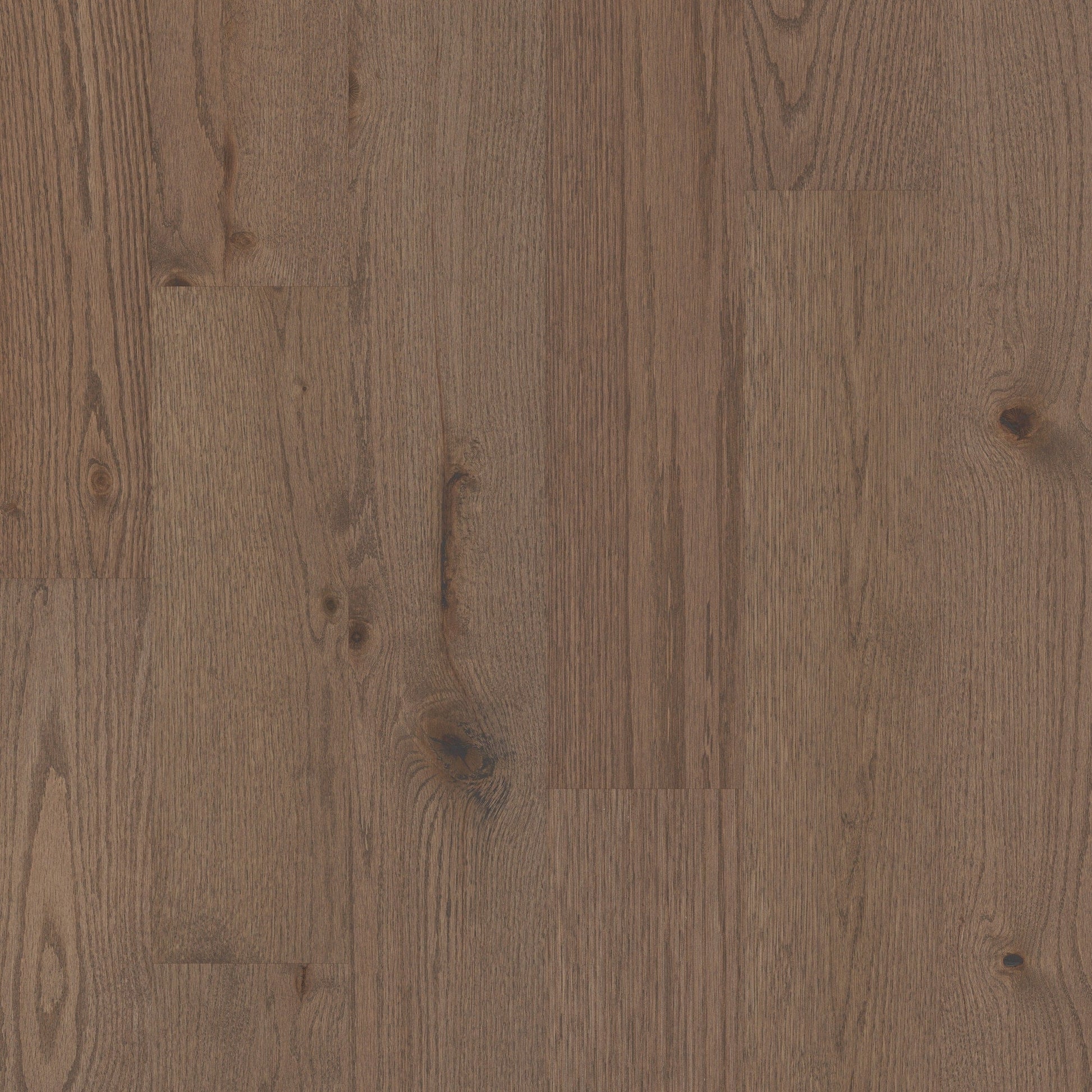 Shaw Oak Kiefer hardwood flooring — primary plank view