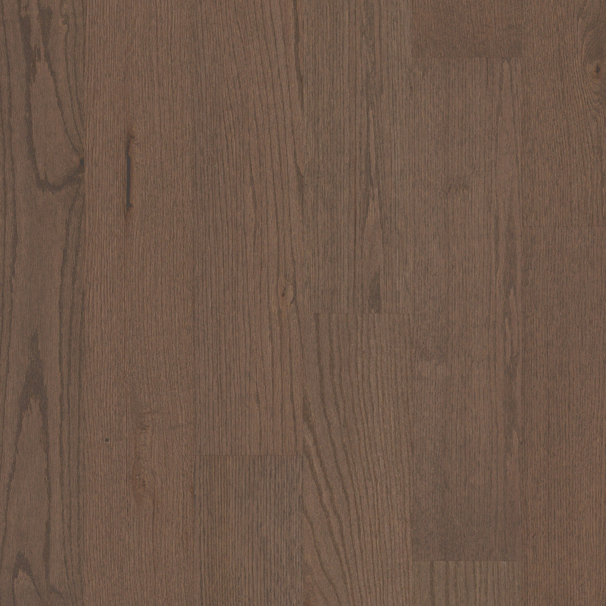Shaw Oak Kismet hardwood flooring — primary plank view