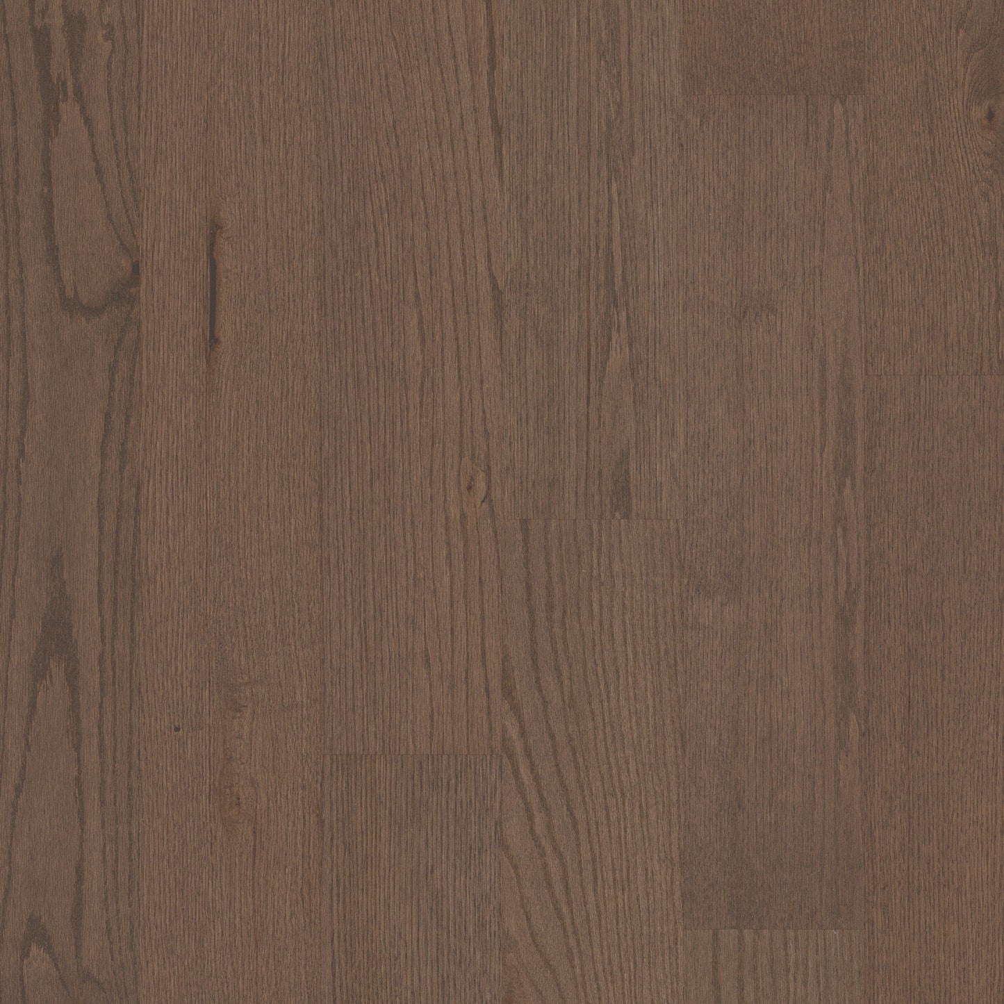 Shaw Oak Kismet hardwood flooring — primary plank view