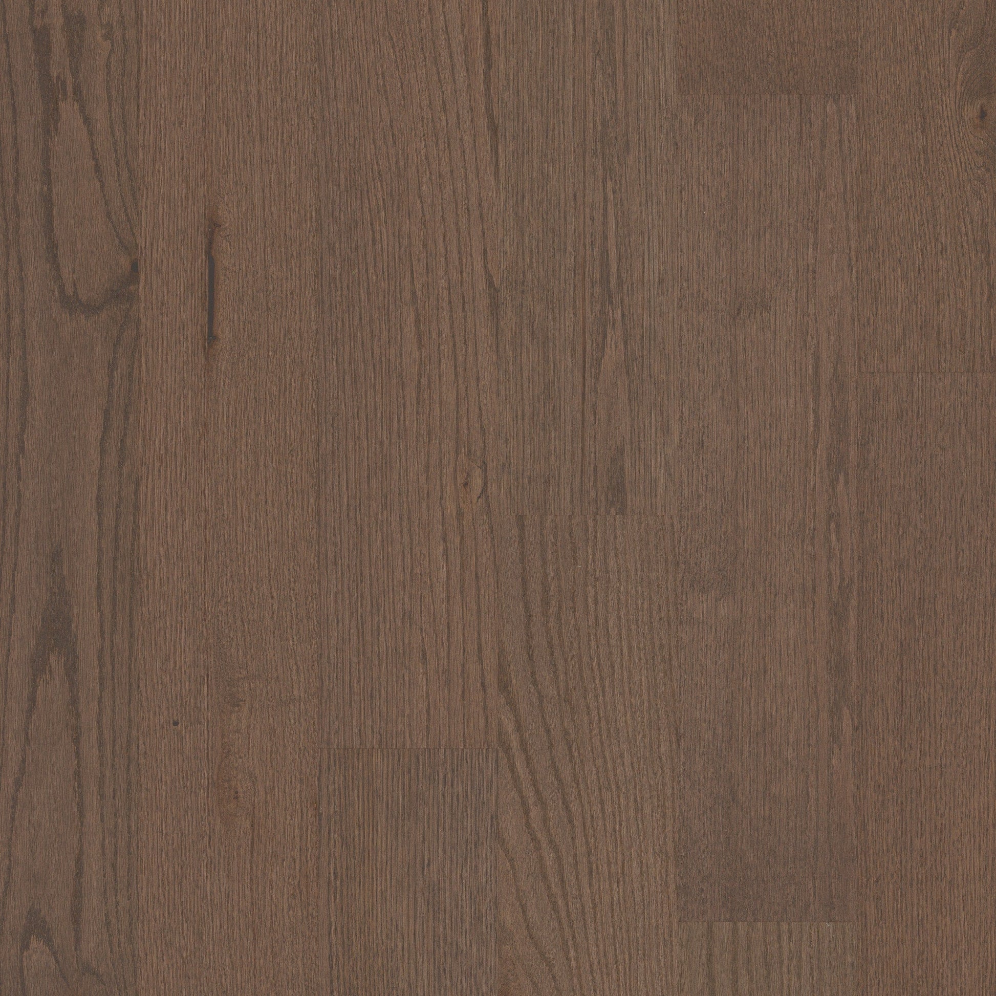 Shaw Oak Kismet hardwood flooring — primary plank view