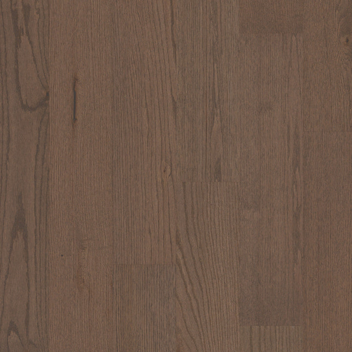 Shaw Oak Kismet hardwood flooring — primary plank view