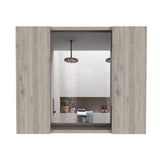 WELLFOR 24-in x 20-in Surface Mount Light Gray Mirrored Medicine Cabinet