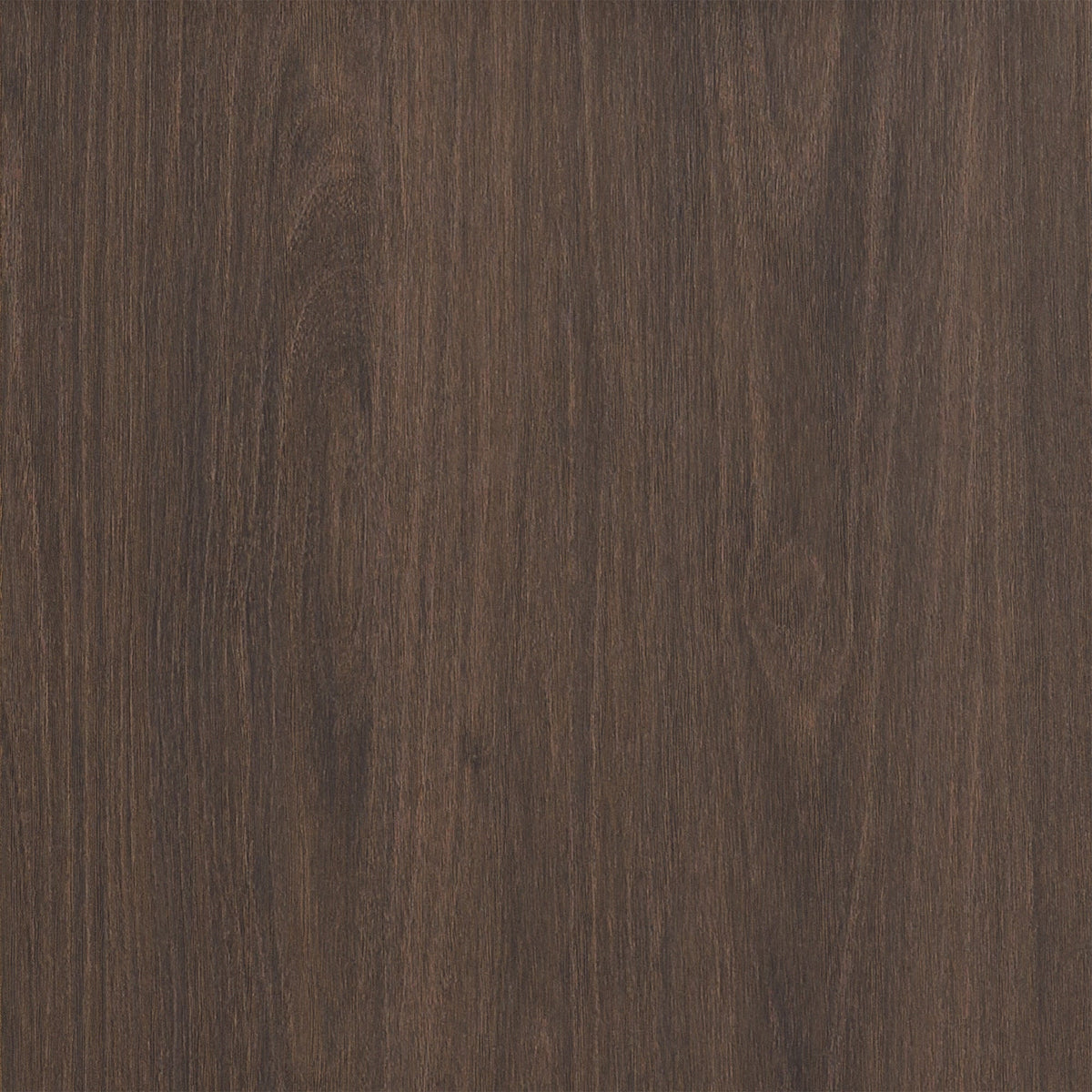 Hailey Home Mansfield Alder Brown 2-Shelf Office Cabinet
