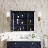 Forclover Assembled Solid Wood 34-in x 30-in Surface Mount Navy Blue Mirrored Soft Close Medicine Cabinet