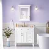 WELLFOR GRACE Solid Wood 24-in x 30-in Surface Mount White Mirrored Soft Close Medicine Cabinet