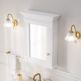 WELLFOR GRACE Solid Wood 24-in x 30-in Surface Mount White Mirrored Soft Close Medicine Cabinet
